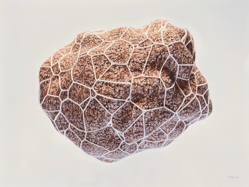 Item #27368314961787649064221585856198725372967139003119485785305163663505369333765 Media