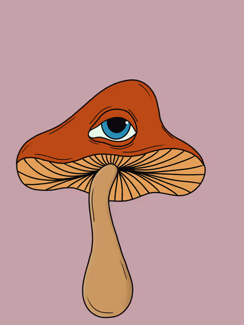 Item #46882009080235521998465650117471577430659606879218658620080168239372502564865 Media