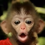 Item #45594647201663347778086533366212020564774309010196825968467676407518348705793 Media