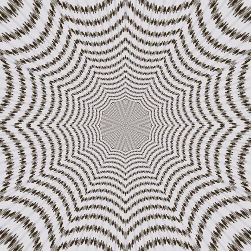 Item #112881076383788129306951985002951292499329158073037574705693288388830408212481 Media