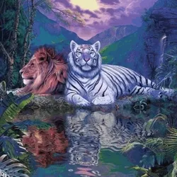 Tiger & Lion
