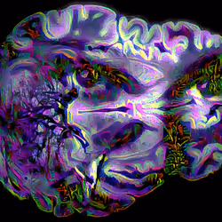 29877578668728852178902598419785793077778618348046200683544678226089106997249