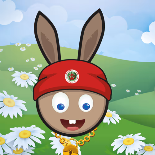 Item #46452456984445761129636387494355625279413969159121886306300378714784839761921 Media