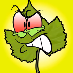 Winky Leaves #20