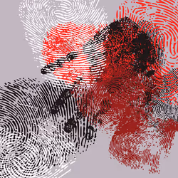 16099289534565677817009981985909100596642615095570704535402563103008147636225