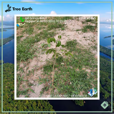 Item #8500196597889277390194123329501889087166328879864934763448349303103383666689 Media