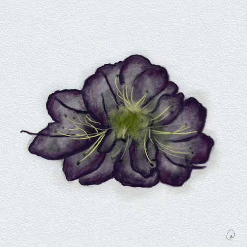 Item #5806560429028510016927636303875382551208880304073644506271374118196944568321 Media