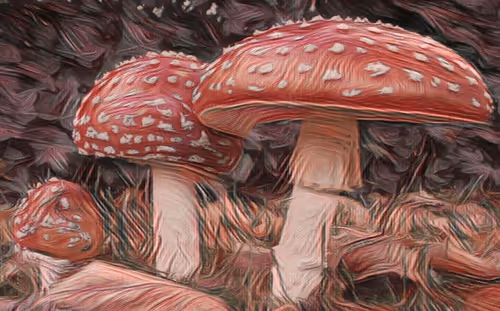 Item #52279899657470602930374504215573078093568881935855796206247483378482236358657 Media