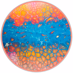 109865505972033758357973022673299426556109724820244289222496200511990223863809