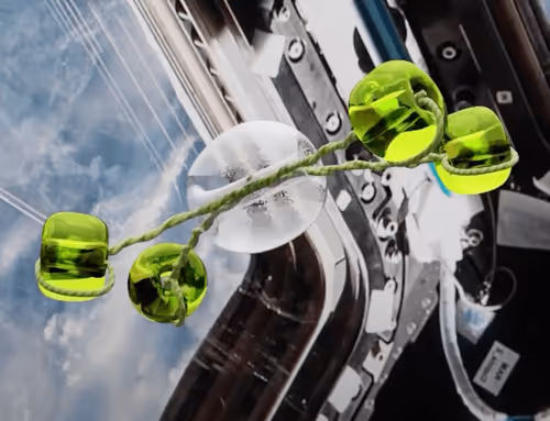 Item #8050559490775205250943300498862463034494311794526142362786942666391829872641 Media