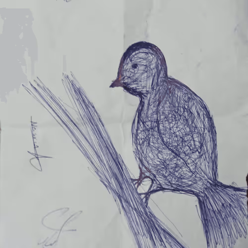 bird