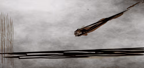 Item #88550933380159429652573600088596543452217115268663300900517750211136414810117 Media