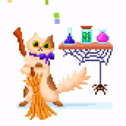 active cat