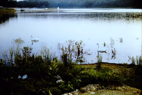 Item #113047771030127017240919341709485116586684509374101894410877815073371601240065 Media