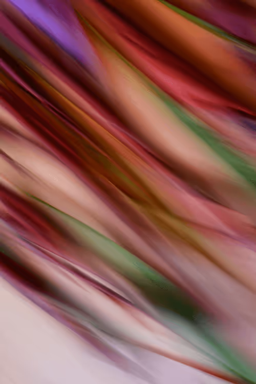 Item #23265726314410109476129301555838572111439838682222879854994044621359677440001 Media