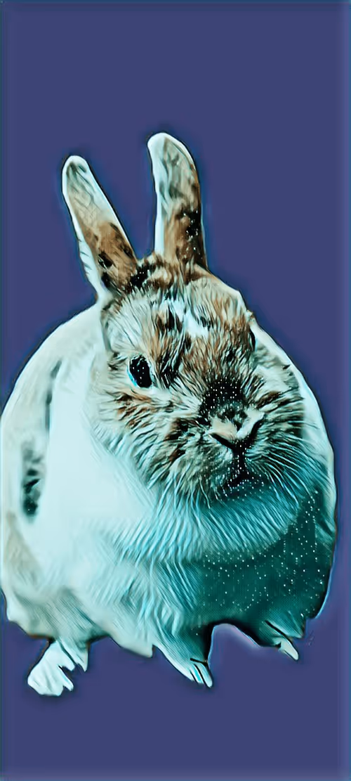 Item #83041001730132227554844365437380608929218961332631292382150888947287989420033 Media