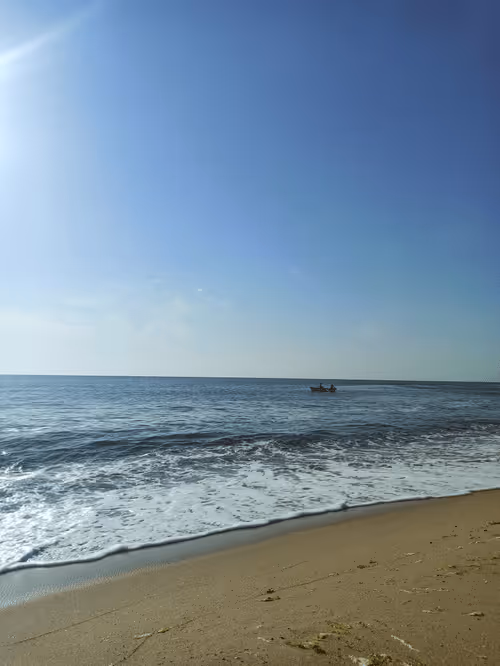 Item #55807924163620882743305652927464896138649887097193374139054959758882845491202 Media