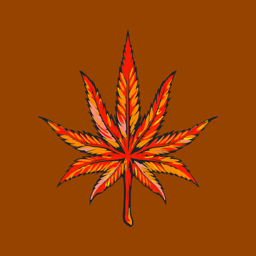 Crypto Nugzz
