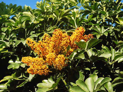 Item #47740723628740992811774374688397150768592318939959493340400451374888779776001 Media