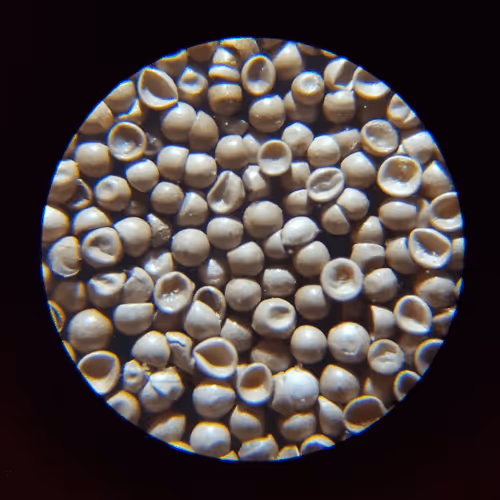 Item #50009736146905251567227076692856927428894740490289753136015986065649893900289 Media