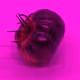 110692649264369377071495627220392981109400302920527361961030166698667462885377