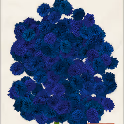 49560871776153200867828624829416347354613844027593284022244035144869377736705