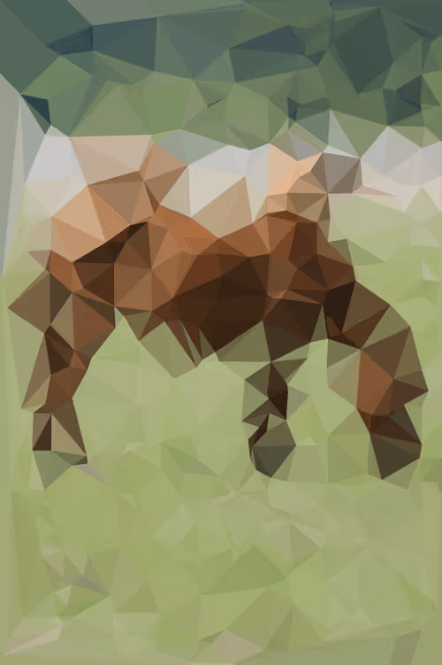 Item #75177011641326788966498946899827704018506262245864172669652827809215525421057 Media