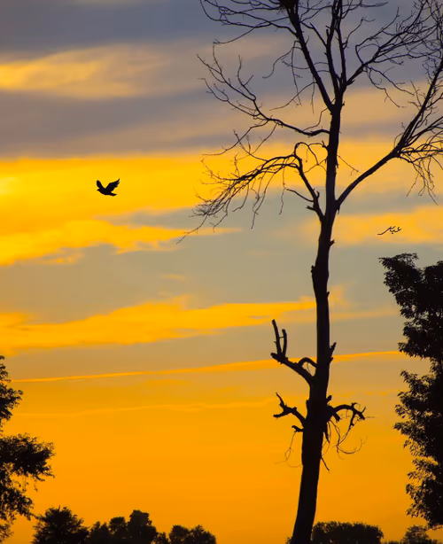 Item #9104047852343460824823657095955061139286762947505329334286274214807891607553 Media