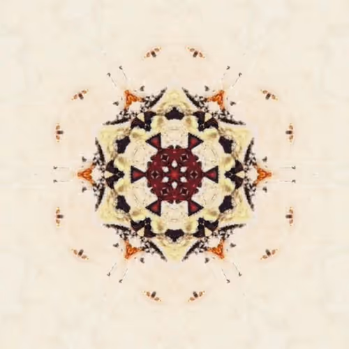 Item #3171519528775795022685964717488140964580853226527795786998706956740111368193 Media