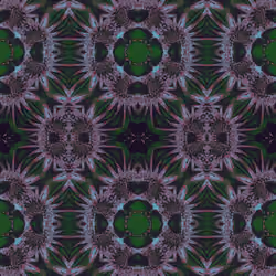 breeNFT#32