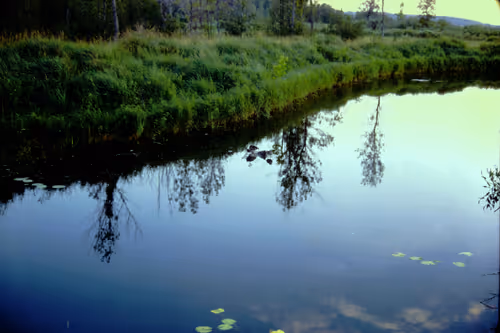 Item #113047771030127017240919341709485116586684509374101894410877815032689671012353 Media