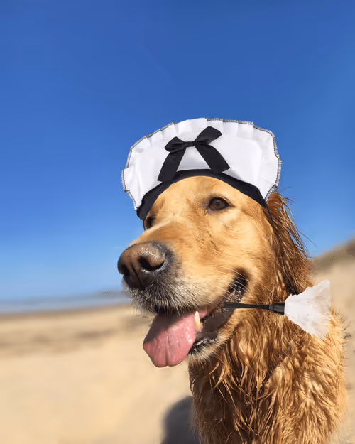 Item #26839399415497039076862880694069072006331525189107682525417321759895831183361 Media