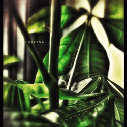 3787080761074609709675817509753112159059746763483256848434353585284198694913