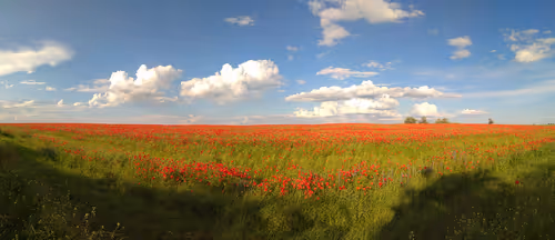 Item #17319939953167637780600282992121422872105245519410634407643257879558470238209 Media