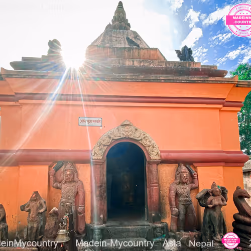 21218919643484846679386017214105436286474954155539936946797714275418012385290