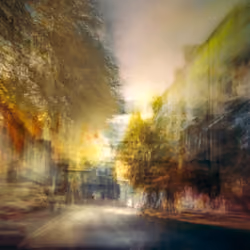 A flash of fallen leaves