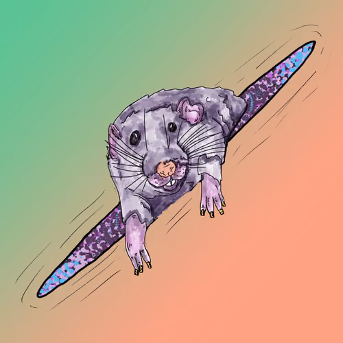 Portal Rat