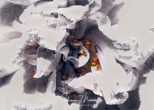 Item #42811690343393050366458576261595461434528685336136353157716912183373763444737 Media