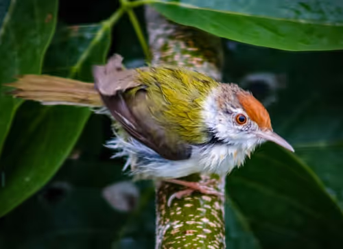 Item #73038095633252803399903762573392179492795608367001791011132003599947107663873 Media