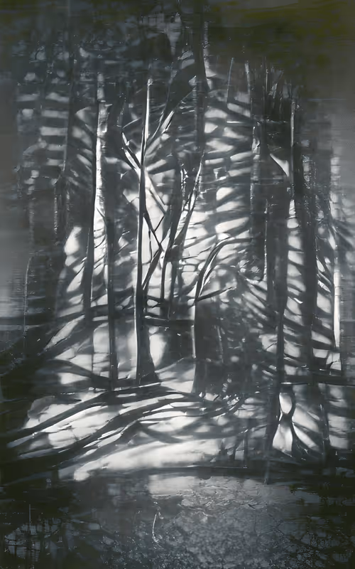 Item #57514133812849376003740774844246450323126957248328963048653052908526991572993 Media