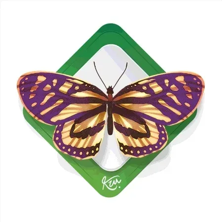 Item #95108902840389546703144349729901581114707866428078768323944283542909702111233 Media