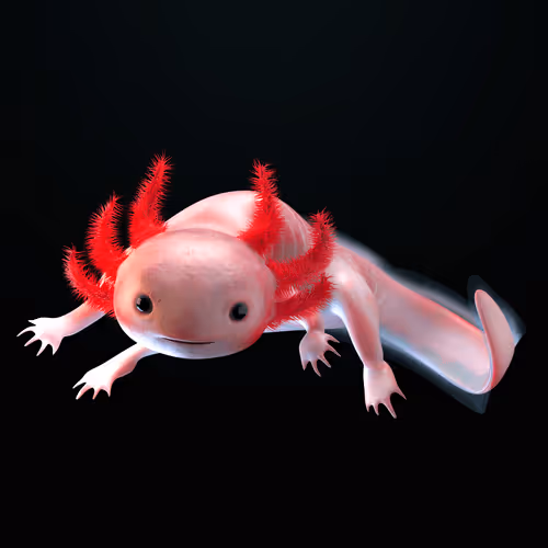 Item #39982110375740153587505644478940195082872270202471884348459982316225033142273 Media