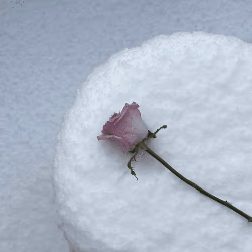 Item #111740150065429106308090261453974378695456672278358301364555177794291462307841 Media