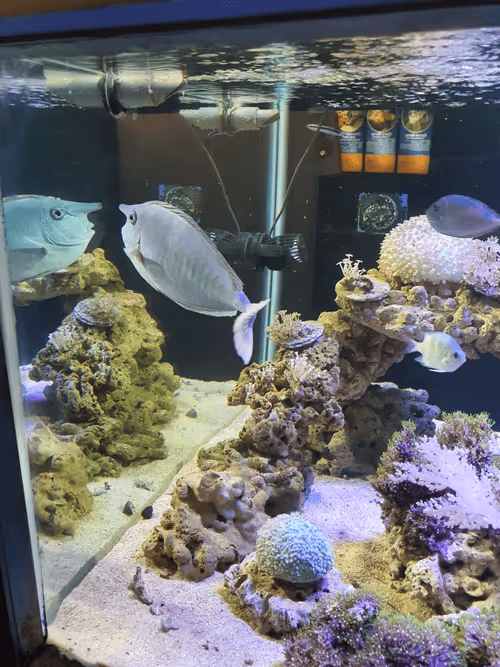 Item #83958100256980711035398363150481960541013843163520717239348696215597493518337 Media