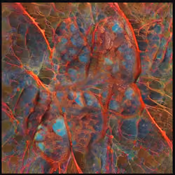 Abstract 40