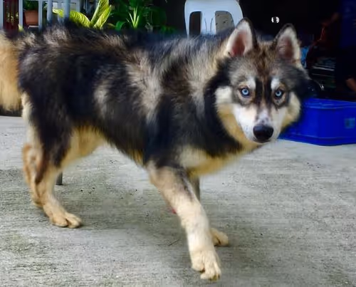 58835359871793248116647993945907080245738143909356775405551556799531222827009