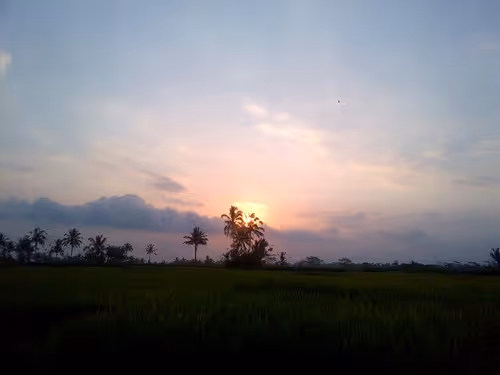 Item #84322506984009659559923408772288194812278509415660143482754304570824096481281 Media