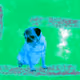 97869970970992577022015252721453124231315192528353055375189292571964508995585