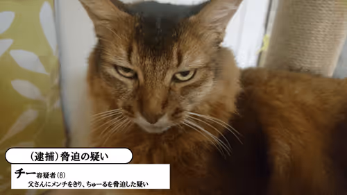 Item #88680272721371285934501562988049178859599418492822572919113237427876263886849 Media