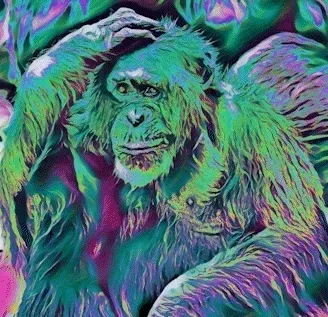 Item #54658049979898971032355539673876588794277822125732617114510633428982603710494 Media